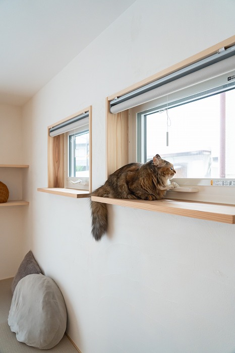 建築工房なごみ_3連窓_猫の居場所