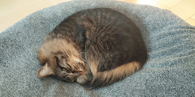 奈良で断熱はどの程度必要なのかを数値から考える